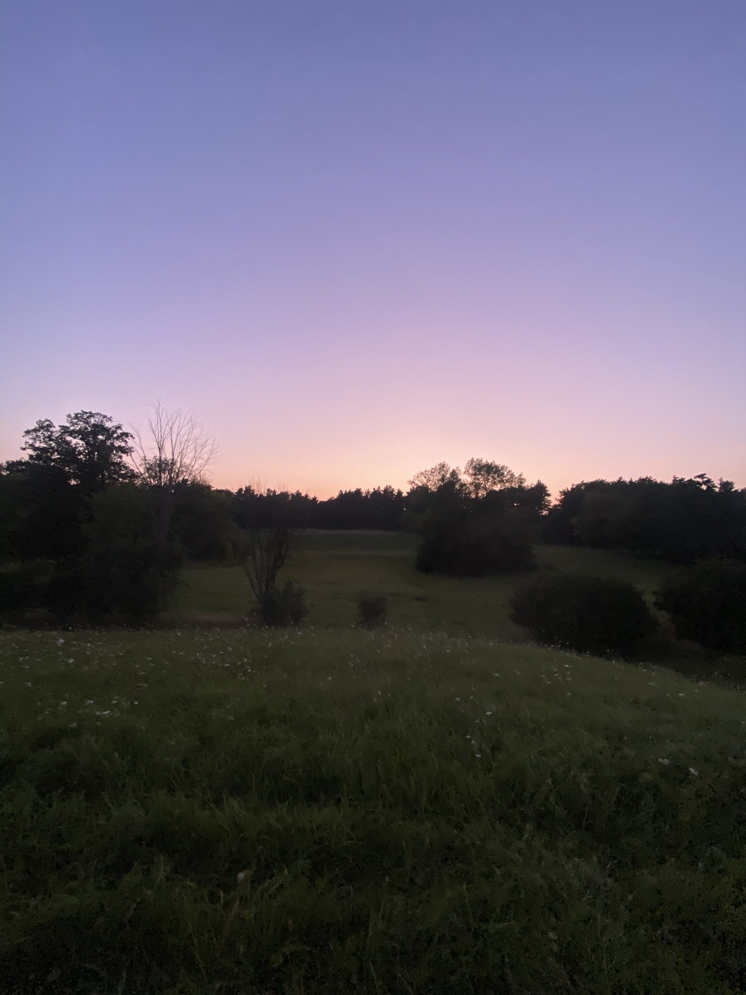 Twilight